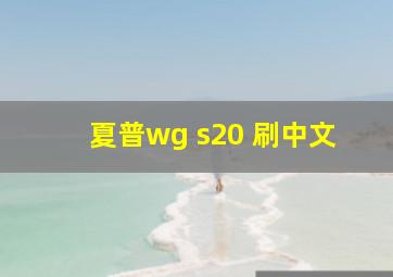 夏普wg s20 刷中文